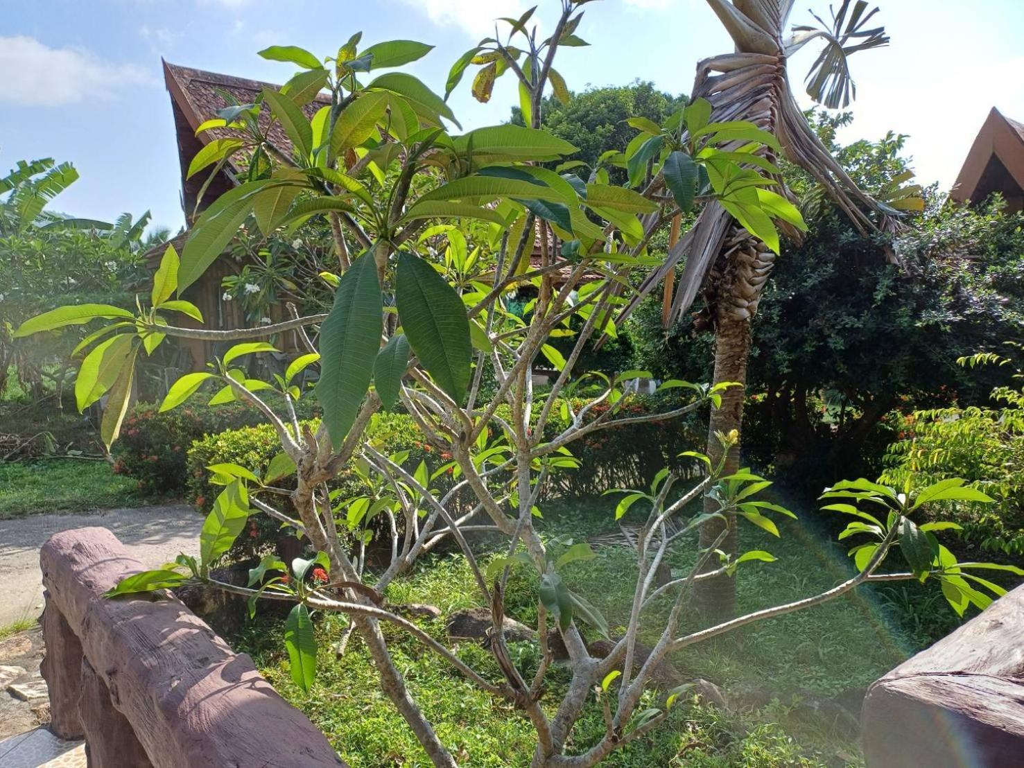 Orchid Home 涛岛 外观 照片